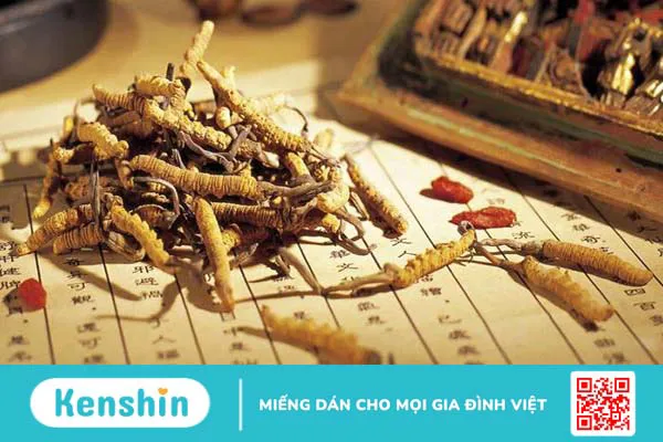 Ăn gì, uống gì để tăng cường sinh lý nam giới 3