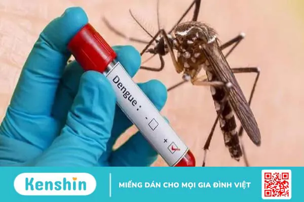 Bị sốt xuất huyết khi mang thai 3 tháng đầu có nguy hiểm không? 1