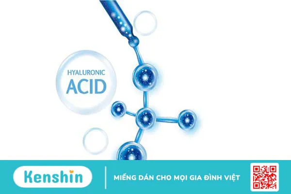 Hyaluronic acid được biết đến với vai trò chống lão hoá nổi bật