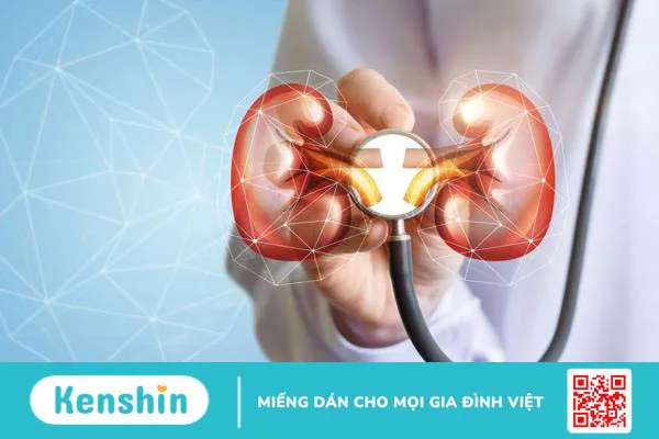 Sỏi thận, sỏi đường tiết niệu gây nhiều khó chịu cho người bệnh kèm theo những biến chứng nguy hiểm nếu không được điều trị sớm