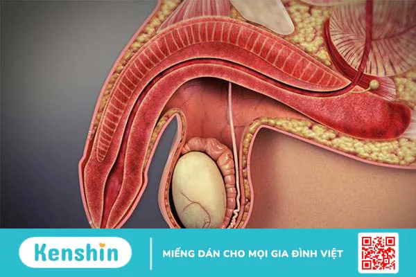 Nhu cầu sinh lý của đàn ông 60 tuổi 1