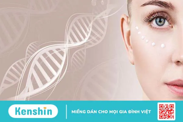 Cách bổ sung collagen cho da mặt hiệu quả, da căng mịn từ bên trong 1