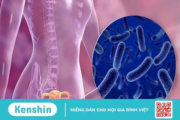 Cách trị ngứa vùng kín tại nhà an toàn hiệu quả mà bạn nên biết 3