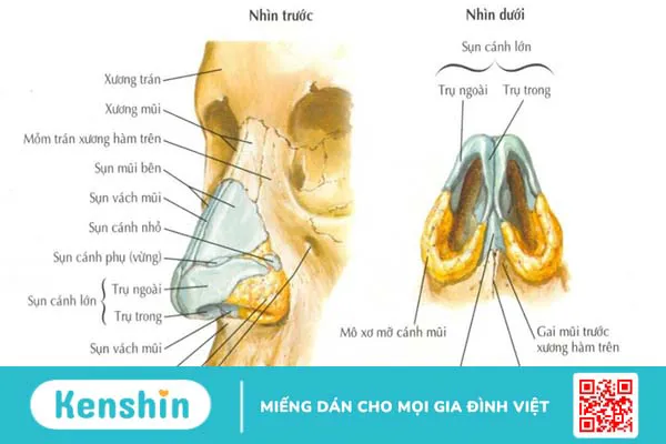 Chi phí phẫu thuật gãy xương mũi hết bao nhiêu 1