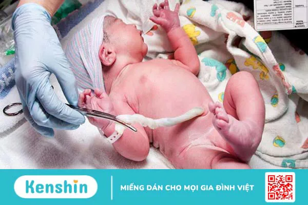 Dây rốn quấn cổ 1 vòng tuần 36 là gì? Có nguy hiểm không? 6