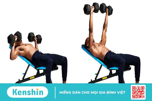 Incline Dumbbell Press và cách tập chuẩn dành cho người mới 1