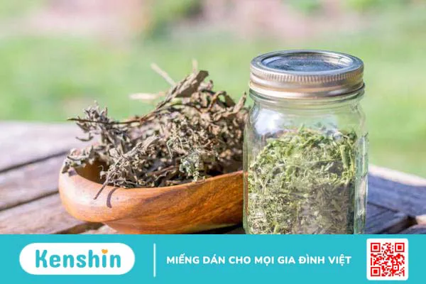 Dùng rễ cây xấu hổ ngâm rượu mang lại nhiều lợi ích bất ngờ 2