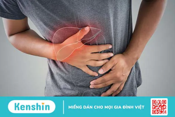 Gan nhiễm mỡ độ 2 là gì? Bị gan nhiễm mỡ độ 2 uống thuốc gì?