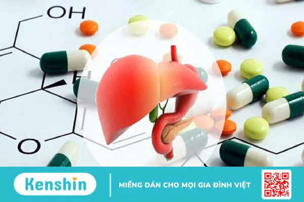 Bệnh nhân bị gan nhiễm mỡ độ 2 uống thuốc gì