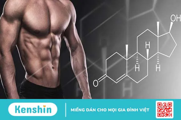 Hormone DHT là gì? Những điều cần biết về DHT và rụng tóc 3