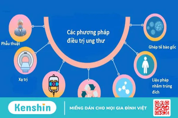 Hệ miễn dịch và liệu pháp miễn dịch trong điều trị ung thư 2