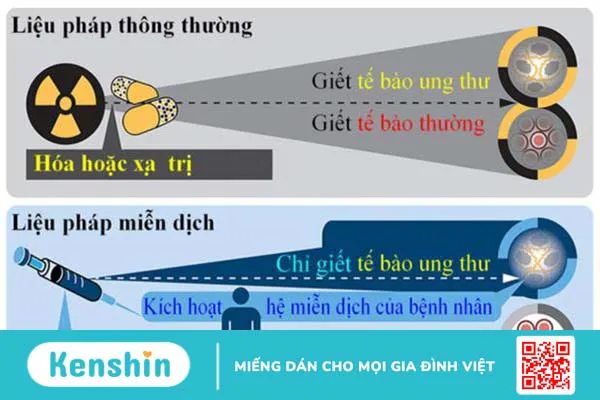 Hệ miễn dịch và liệu pháp miễn dịch trong điều trị ung thư 3