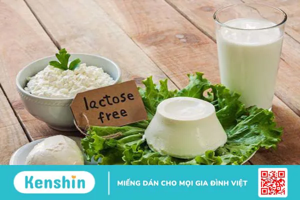 Sữa hạt gai dầu là lựa chọn tuyệt vời cho những người dị ứng lactose