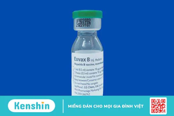 Những điều bạn cần biết về vắc-xin Euvax B 2