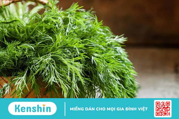 Những loại rau lợi sữa cho mẹ sau sinh quen thuộc, dễ tìm 1