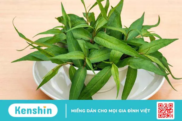 Những loại rau lợi sữa cho mẹ sau sinh quen thuộc, dễ tìm 4