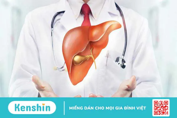 Phác đồ điều trị gan nhiễm mỡ độ 2 và chế độ dinh dưỡng phù hợp