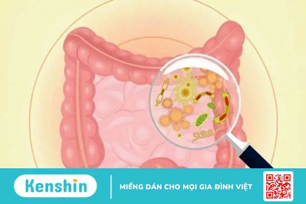 Phản ứng phụ của vacxin Rota cha mẹ cần biết 1