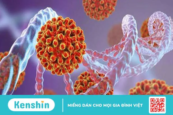 Phòng ngừa viêm gan B với vaccine Engerix B 1