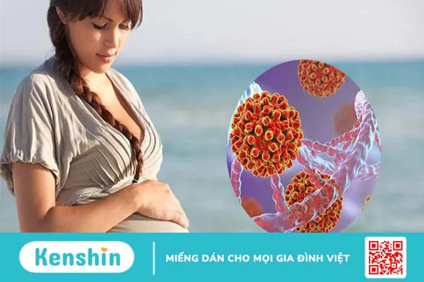 Phòng ngừa viêm gan B với vaccine Engerix B 3