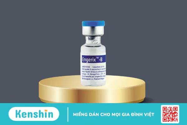 Phòng ngừa viêm gan B với vaccine Engerix B 4