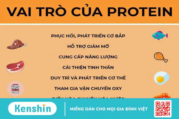 Chuyển hóa protein diễn ra như thế nào trong cơ thể