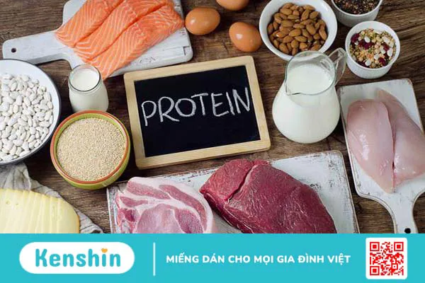 Chuyển hóa protein diễn ra như thế nào trong cơ thể