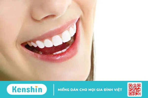 So sánh răng sứ Cercon và Cercon HT đâu là sự lựa chọn hợp lý hơn? 3