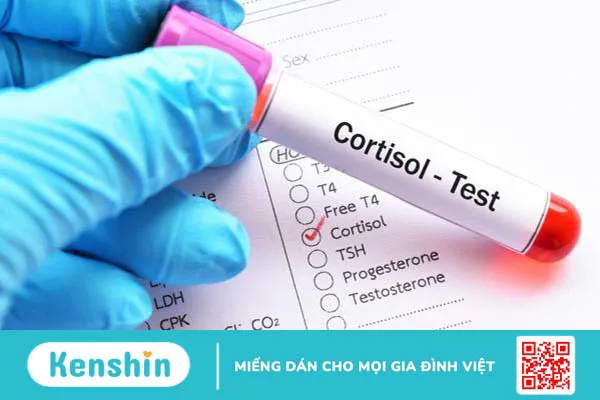 Stress làm tăng cortisol và những điều cần biết 2