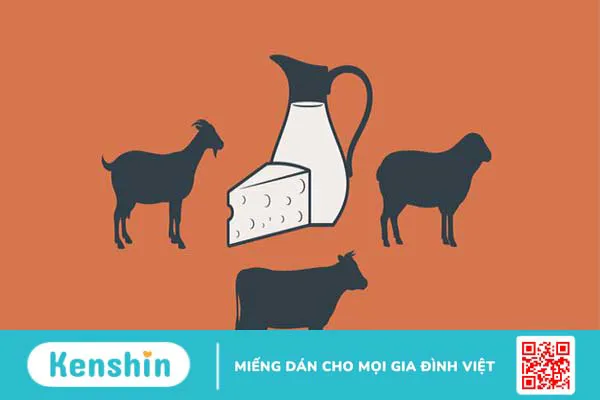 Sữa dê có chứa Lactose không? Lợi ích và rủi ro của sữa dê 1