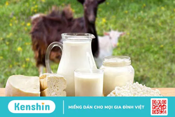 Sữa dê có chứa Lactose không? Lợi ích và rủi ro của sữa dê 2