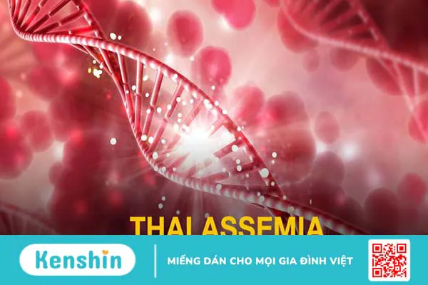 thalassemia-di-truyen-la-benh-gi-thalassemia-co-chua-tri-duoc-khong 5