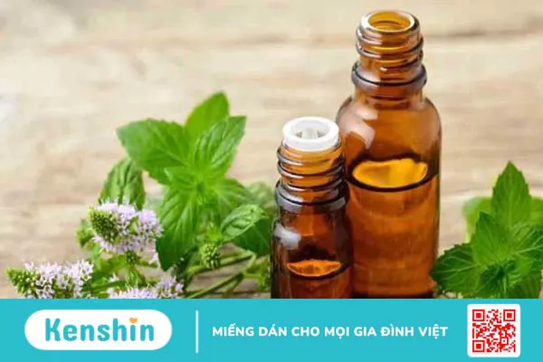 Tinh dầu hương nhu: Thơm và tốt cho sức khỏe! 2