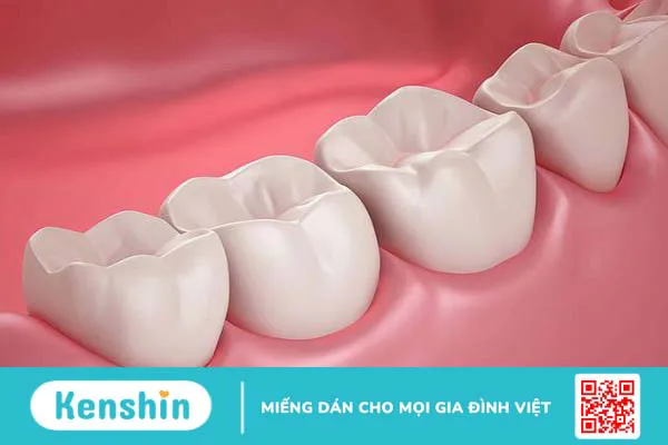 Tình trạng đau răng hàm dưới nói lên điều gì? Khắc phục bằng cách nào? 1