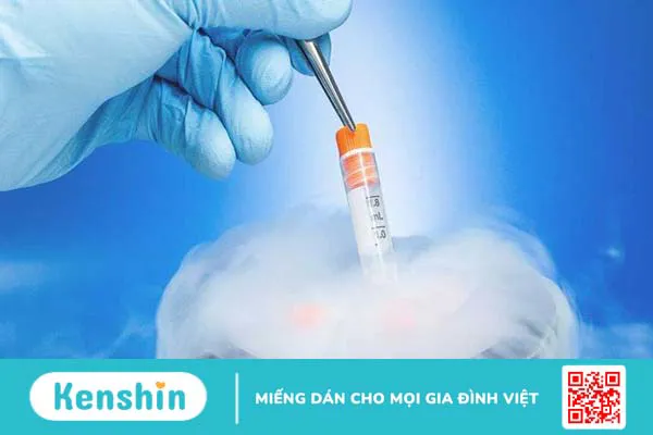 Triệu chứng sau chuyển phôi người nhẹ tênh: Cần hiểu rõ và không nên kết luận sớm! 3