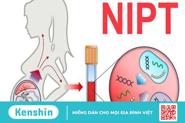 Xét nghiệm bầu 12 tuần có cần nhịn ăn không? 4