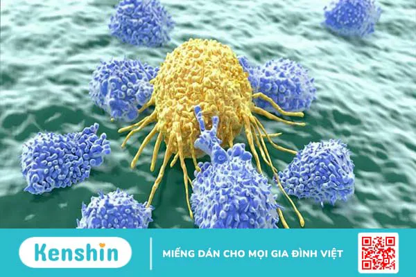 Xét nghiệm NK là gì? Những điều cần biết 1