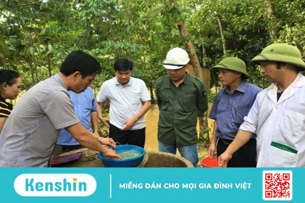 Xử lý nước đơn giản tại nhà để có nước sạch dùng sau lũ 2